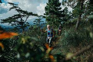 BIB: 
                            <button type="button" onclick="openModal(25260849)" class="btn btn-primary btn-sm float-right btn-popup" data-toggle="modal" data-target=".modal-high-quality">
                        <i class="fas fa-shopping-cart"></i> Add to Cart
                    </button>
                                            <button type="button" onclick="isThisMe(25260849, true)" class="btn btn-success btn-sm float-right btn-popup btn-isme hidden" data-toggle="tooltip" data-placement="bottom" title="นี่คือรูปของคุณใช่ไหม คลิกที่นี่เพื่อเอาเข้าอัลบั้ม">
                        <i class="fas fa-plus"></i> Add to album
                    </button>
                    <button type="button" onclick="isThisMe(25260849, false)" class="btn btn-warning btn-sm float-right btn-popup btn-isnotme hidden">
                        <i class="fas fa-ban"></i> Remove from album
                    </button>